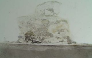 mold due to bad waterproofing