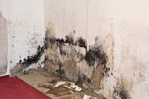Our Leak Damage Restoration And Water Damage Restoration Los Angeles Process