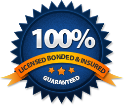 100 Licensed And Bonded Los Angeles Mold Experts