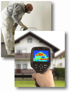 Convenient Mold Thermography Los Angeles Service