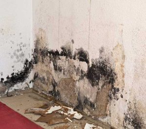 home water damage