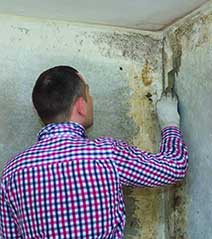 mold-inspection-testing