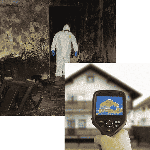 Los Angeles Water Intrusion Leak Detection And Mold Services Specializing In Waterproofing Repair