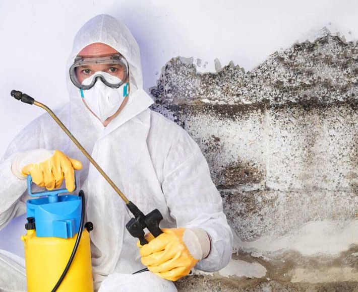 Do You Have Mold In Your Los Angeles Home?