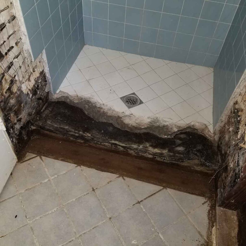 mold-remediation-los-angeles-ca-2