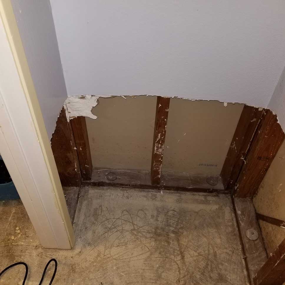 mold-remediation-los-angeles-ca-3
