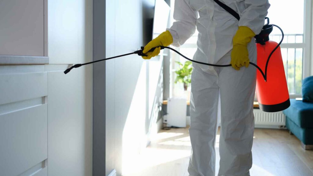 implications of hiring a mold remediation professional