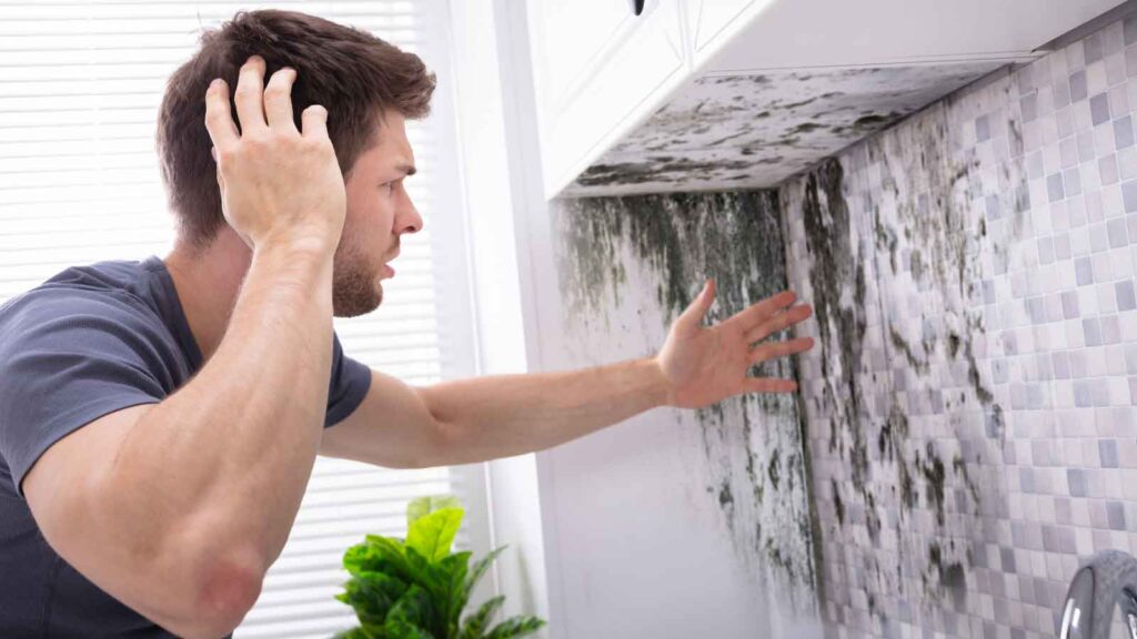 A man looks frustrated as he examines a kitchen wall covered in black mold