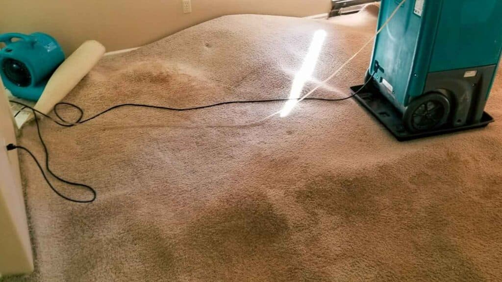 Water extraction equipment drying a water-damaged carpet.