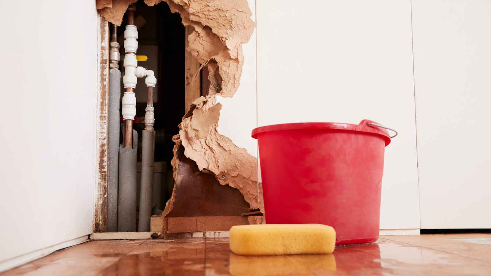 Water-damaged wall exposing pipes with a red bucket and sponge nearby.