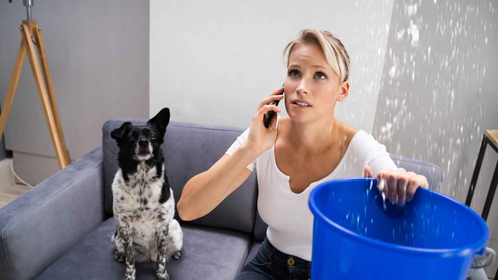 Woman catches ceiling leak with bucket while calling for help