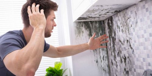 A man looks frustrated as he examines a kitchen wall covered in black mold