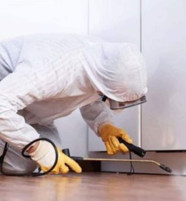 Technician performing mold remediation in protective gear