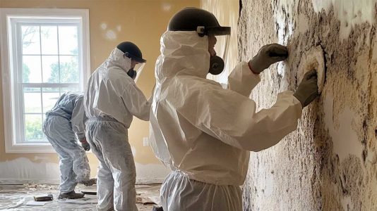 Technicians in protective gear removing mold from a contaminated wall