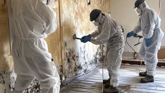 Technicians treating a heavily mold-infested wall with professional equipment