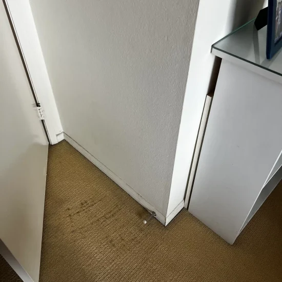 White cabinet area inspection for water damage and moisture intrusion during mold remediation