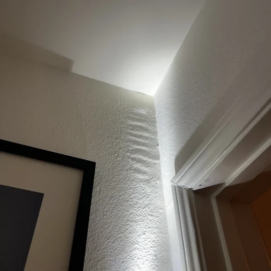 Ceiling corner showing moisture damage and water stains requiring professional mold remediation services