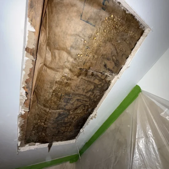 Ceiling mold remediation completed and area prepared for final restoration work