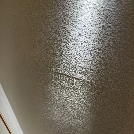 Extensive water damage on textured wall surface requiring comprehensive mold remediation and restoration