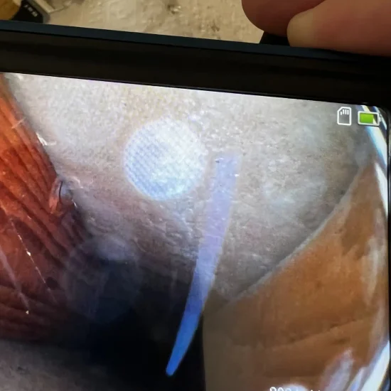 Internal cavity inspection using specialized camera equipment to assess hidden water damage and mold growth