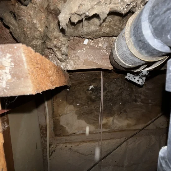 Water damage discovery in Marina Del Rey apartment subfloor requiring immediate mold remediation