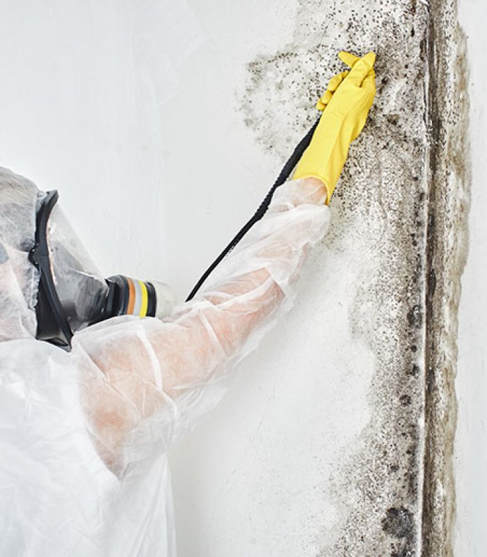 Mold Experts Removing Black Mold In LA Home