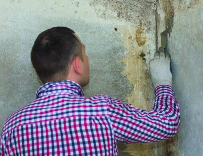How Mold Spreads And How To Stop It