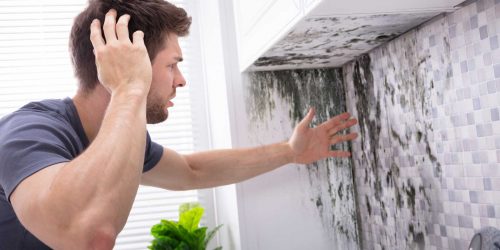 man in need of mold remediation services for kitchen infestation