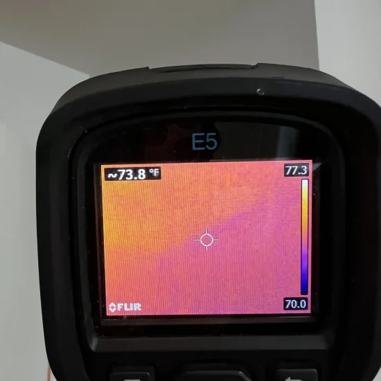 FLIR thermal camera showing 73.8°F room temperature mapping during comprehensive moisture assessment