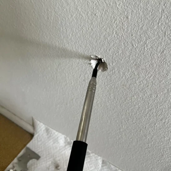 Professional borescope inserted through small wall opening for moisture detection during mold remediation process